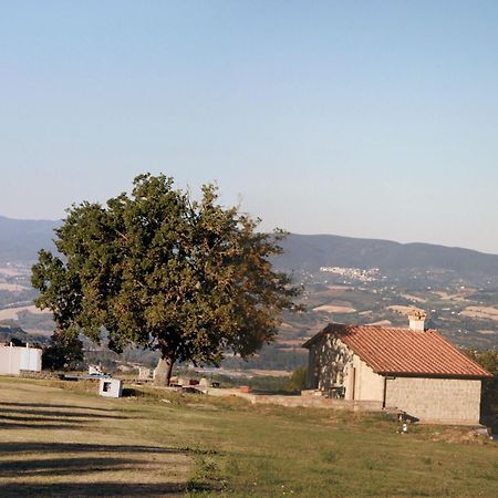 Agriturismo Le Querce ボマルツォ エクステリア 写真